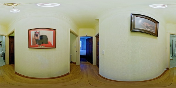 Vieweet 360